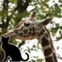 マサイキリン@4/29.5/5北ボドゲ (@masai_kirin) 's Twitter Profile