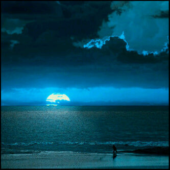 Pin:2A13DB53 / keep calm and follow me....