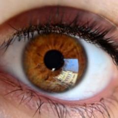 DamierPura's profile picture. Otro degenerado mas.