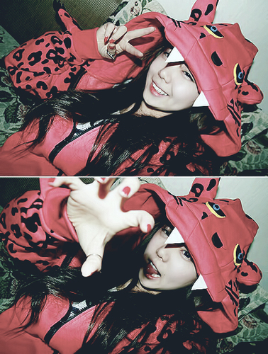 KD_ZEPHYROS2 Profile Picture