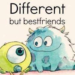 Follow Me I Follow Back