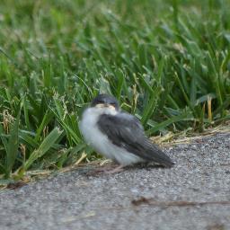 suessergirl's profile picture. Just some mom trying to keep up with Twitter