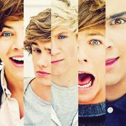 Desculpe,Niall comeu a BIO
