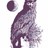 ngfellowHa's profile image