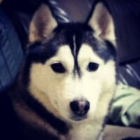 Team Follback 100% (@iwillfollbacku_) Twitter profile photo