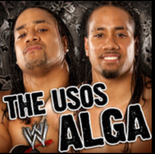 LoveUoso's profile picture. I love uoso is really good follow me :-) and ted dibiase and cody