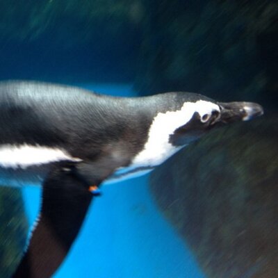 Hiro 愚者は教えたがり 賢者は学びたがる ーチェーホフ Hiro 愚者は教えたがり 賢者は学びたがる ーチェーホフ
