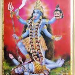 AaronSimkin's profile picture. Toronto Ontario