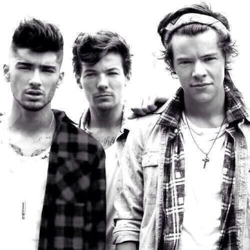 you've got a free follow so follow me here pls @xohhzarry ily x