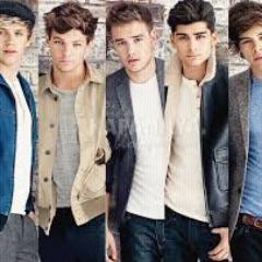 (DIRECTIONER)