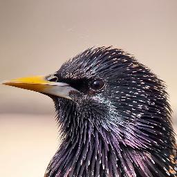 FollowForFollow!:D My aim: 150 Followers- Help me :) I'm interested in global and local things and I tell my opinion about that.