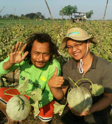 New pin bb 28CF0AF0 .. Whatsapp 081335305438 ...