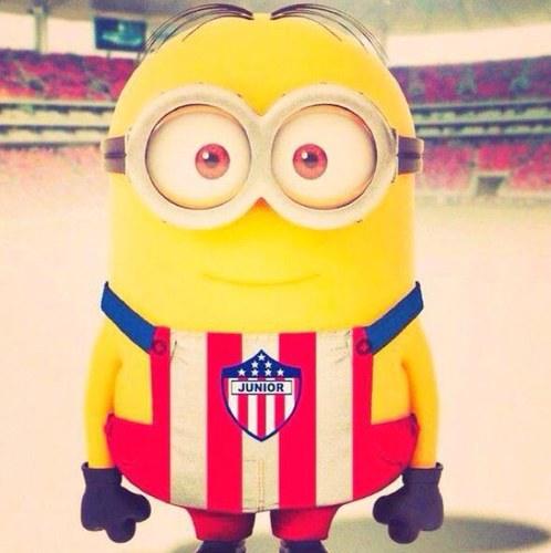 jorgefbracho's profile picture. Vallenato de los verdaderos!!