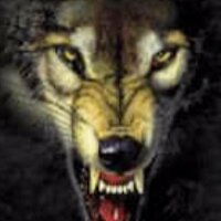 WNGMN64 (@wngmn64) 's Twitter Profile