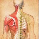 Andrea ware - @AndreaWareOsteo - Twitter