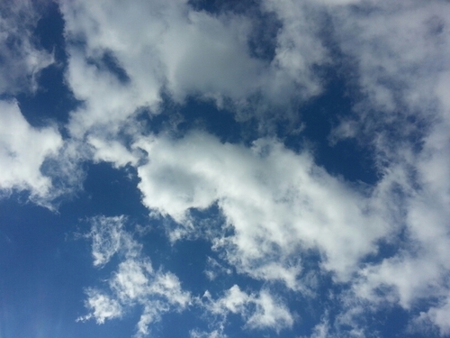 JessMatsalla's profile picture. 