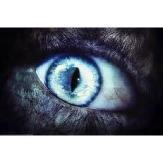 I love Creepypasta my favorite is BEN Drowned. You should follow me on polyvore at bad-kitty-creepypasta. I LOVE BVB. FUCK YA. And you just screamed that.