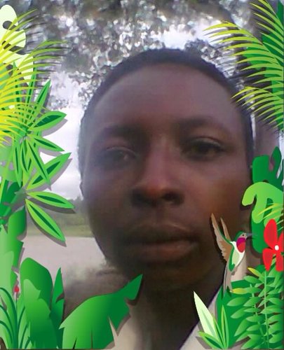 #Rasta #jah #king #lion #herb #weed /green yellow red black true 3)