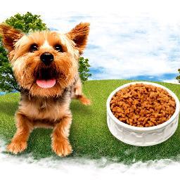 Save time, gas and money shopping for all your pets needs from the comfort of your home - USA.