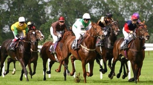 stuartbrooks3's profile picture. Free racing and football tips