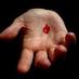 The Red Pill (@theredpill01) Twitter profile photo The Red Pill (@theredpill01) Twitter profile photo