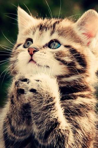 Nana_Berdel's profile picture. Hia =) I'm a minecraft freak and can be found on @imaginationmc A LOT. I'm very artsy and such, and will be posting my art some time soon