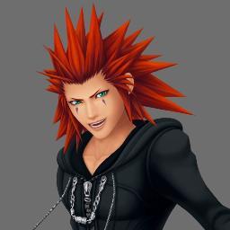 Organization XIII's Number VIII.