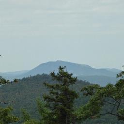 loves animals, antiques, automobiles, the Adirondacks and life!
