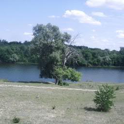 rbvf33's profile picture. взаимный фалловинг)))))) радует но не всегда #фолловинг #взаимныйфолловинг, #RuFollowMe, #ru_ff, #rufollowback, #ЧитаюВзаимно,#ЧитайМеняАяТебя