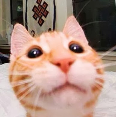 obaydiayham's profile picture. 