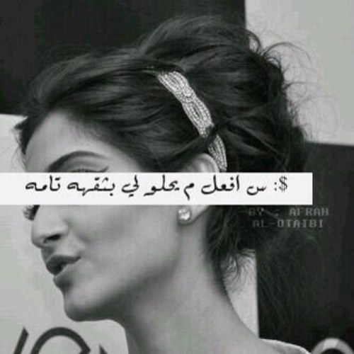 alghala223's profile picture. 