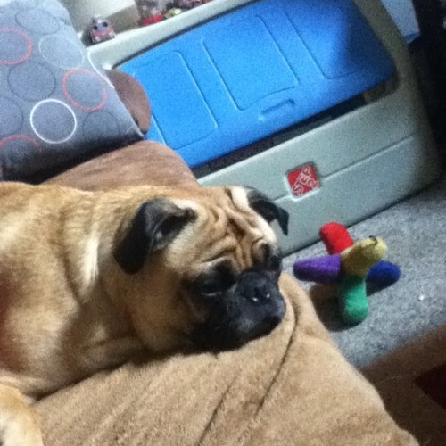 01_ajs's profile picture. Bowler