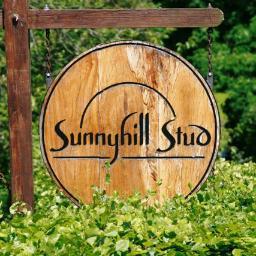 SunnyhillStud Profile Picture