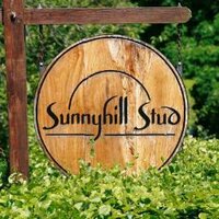 SunnyhillStud (@sunnyhillstud) 's Twitter Profile