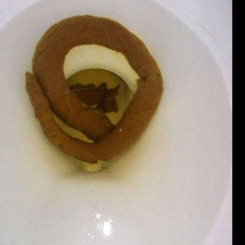 Bring to you amazing facts, pictures, and other things about the world of poop