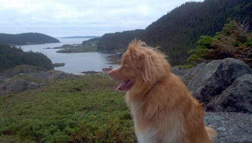 dlorgan's profile picture. 