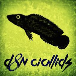 Bringing you quick and essential information you need to properly care for your cichlids. D8N Cichlids is @mattd8n.