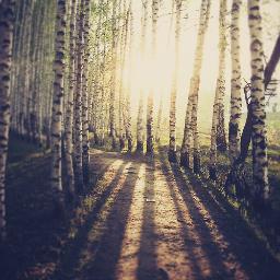 ProgresivaMente's profile picture. La bio solicitada no está disponible en este momento. Puede que el autor tenga problemas existenciales o que necesite ajustar la configuración de su vida.