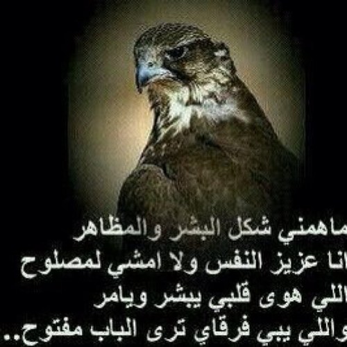 الحب المزيف كالطيور المهاجره....كلما ساءالجو أعلنت الرحيل