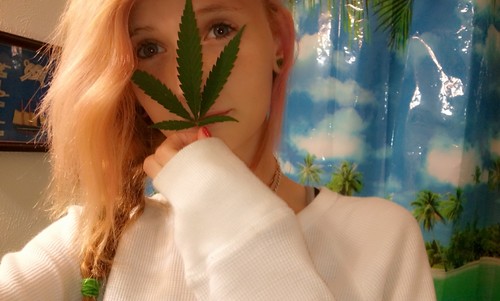 Basically, music is my life. i love cats...pot..and the sky 3. ;-; so lets just smoke a blunt.