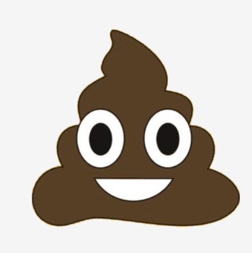Soy la caca más conocida del mundo, no lo niegues. Conoce mis secretos más íntimos. Algún día te sentirás indentificado con mis tuits pequeña caca. ÁNIMOS ✌