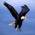 Steadham Elementary (@steadham_eagles) Twitter profile photo Steadham Elementary (@steadham_eagles) Twitter profile photo
