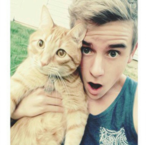why can't i be a cat. wtf.