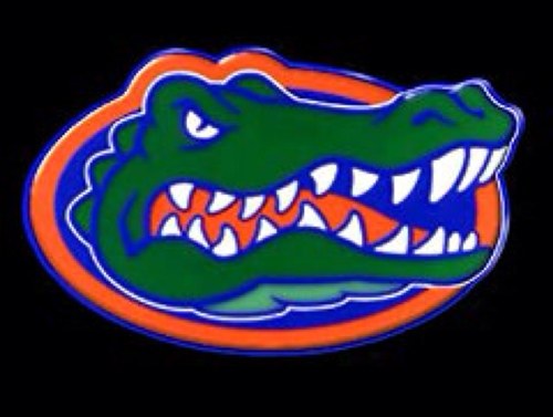 Everything Gators