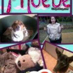 phoebecox123's profile picture. Hi my name is Phoebe and I have 3 dogs, 2 Guinean-pigs & 1 cat Xx :)