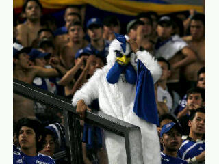Millonarios F.C. La razón de mi existir...Soy Rider, soy inmortal... Ser comando me pone la piel de gallina... #CR200NS