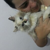Dani #Beta (@daniacreuna) 's Twitter Profile