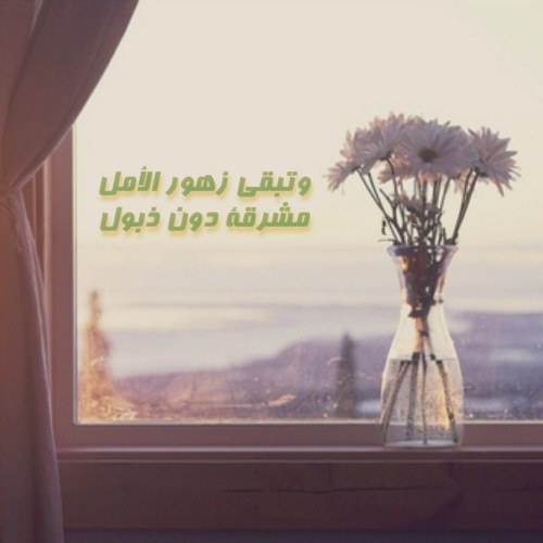 ‏نافذة أمل بأن غداً سيكون أفضل
(بصمة خير اجود بها بما لدي من علم وخبرات)
بكالوريوس رياضيات دبلوم قياس وتقويم 
الابتسامة وحسن الخلق أغلى ما أملك بعدأهلي وعائلتي
