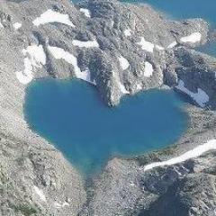 MeganCarter_NZ's profile picture. general enabler