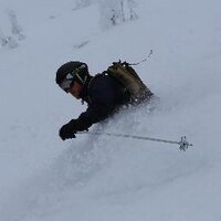 Matt DeCamp (@mattdecamp1) 's Twitter Profile